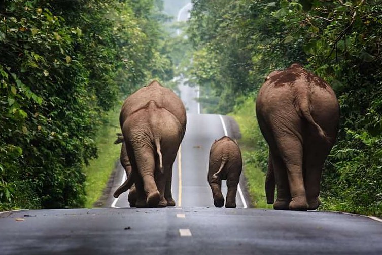 Только не пытайтесь в Таиланде флиртовать с чьим то мужем